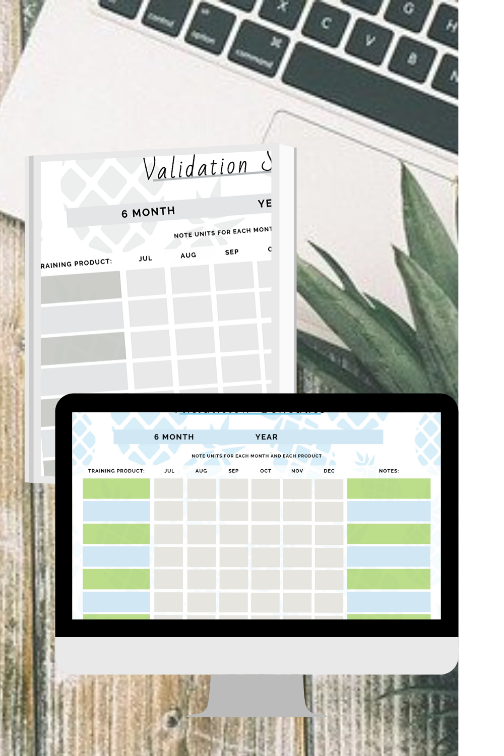 6 Monthly Validation Schedule